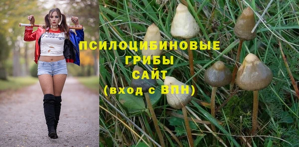 экстази Дмитров