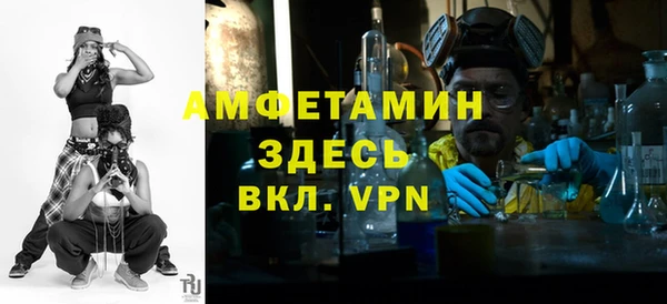 ПСИЛОЦИБИНОВЫЕ ГРИБЫ Дмитриев