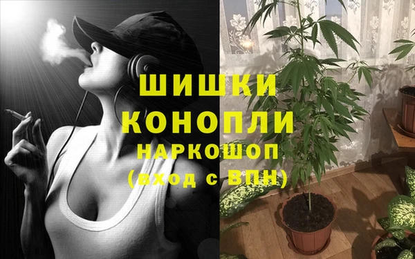 PSILOCYBIN Киреевск