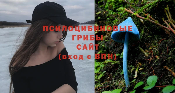 МДПВ Белокуриха