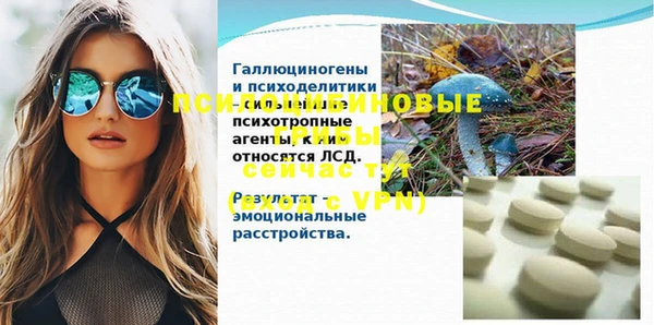 ГАЛЛЮЦИНОГЕННЫЕ ГРИБЫ Богородицк
