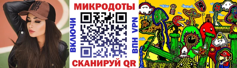 Псилоцибиновые грибы Psilocybe Саяногорск